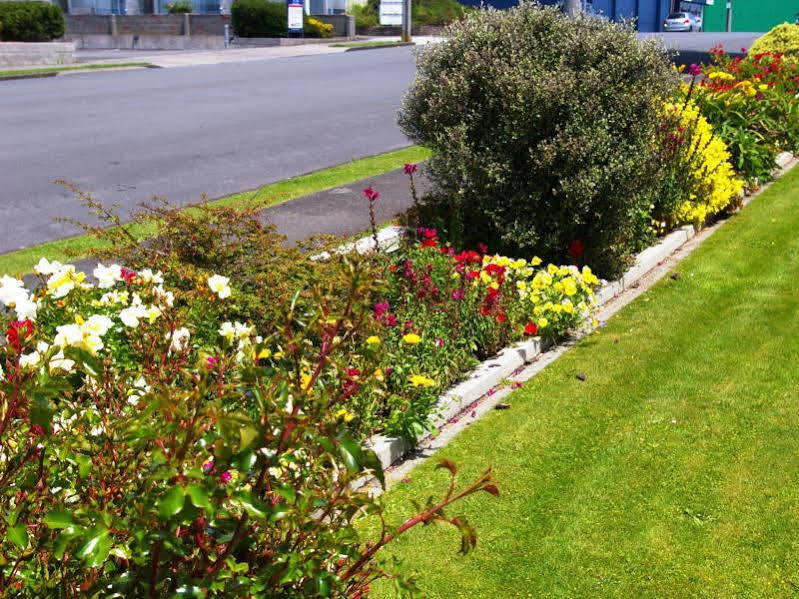 Totara Lodge Motel Levin Dış mekan fotoğraf